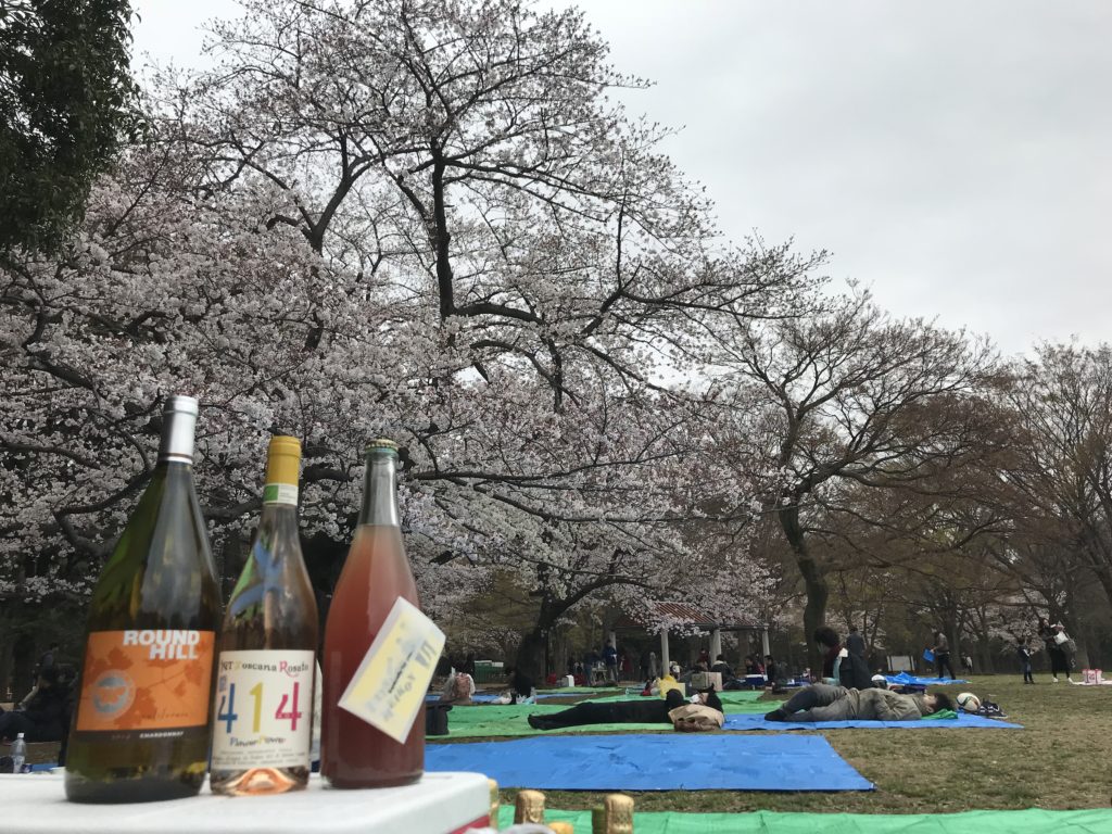 (終了)自然派ワイン会秋のピクニック@代々木公園